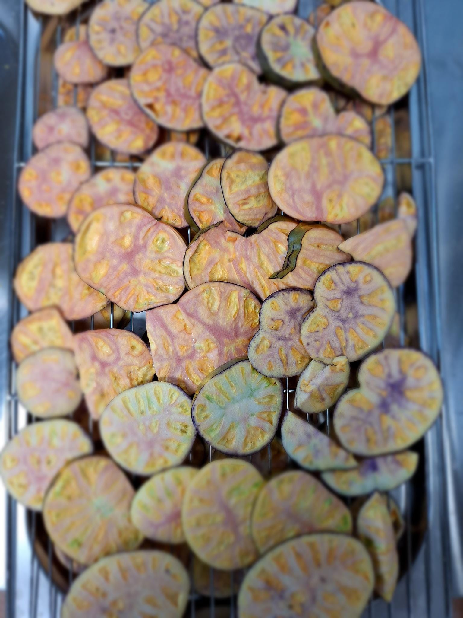 Gefriergetrocknete (Bio-) Tomatenscheiben – Bild 3