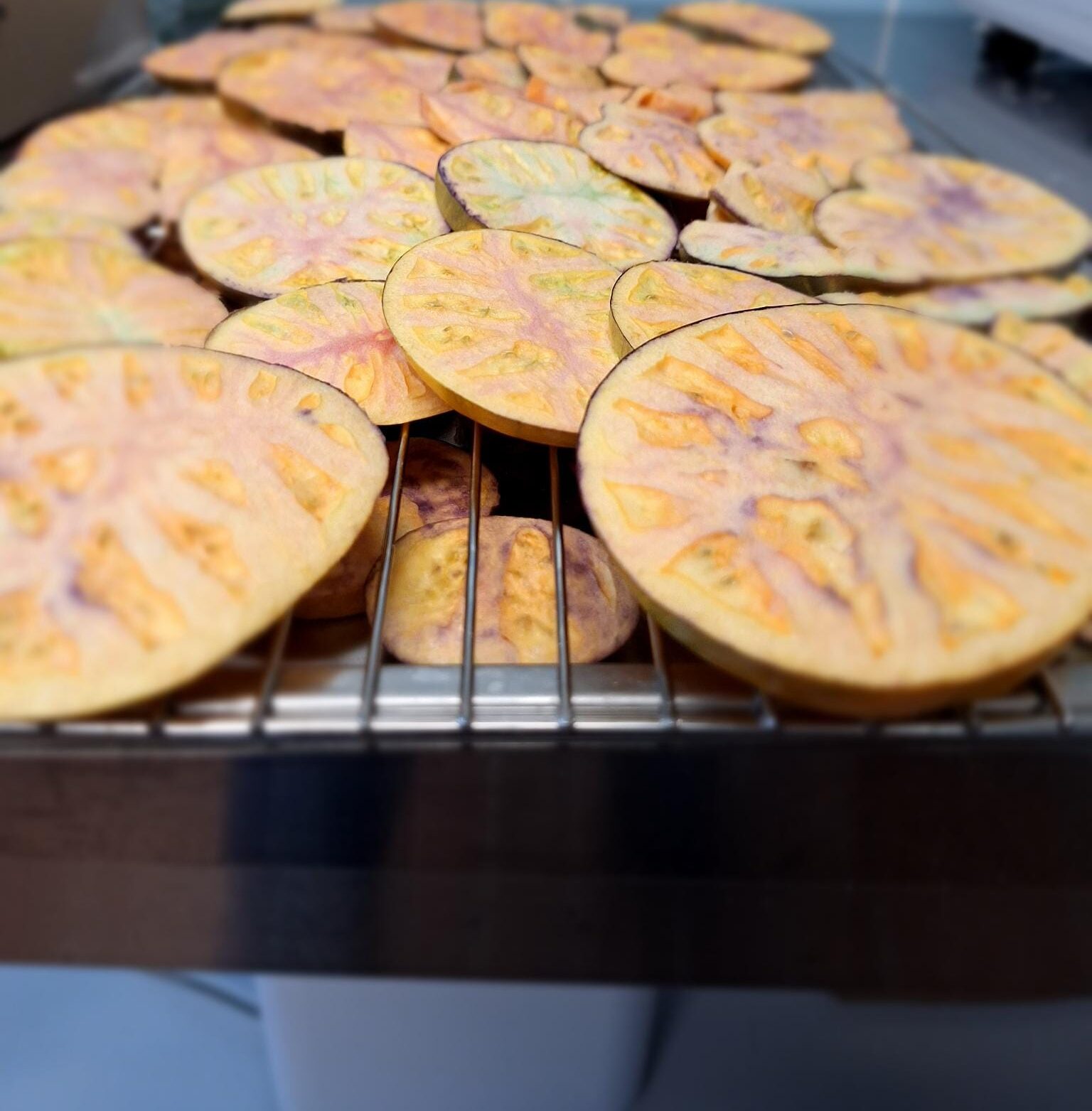 Gefriergetrocknete (Bio-) Tomatenscheiben – Bild 2